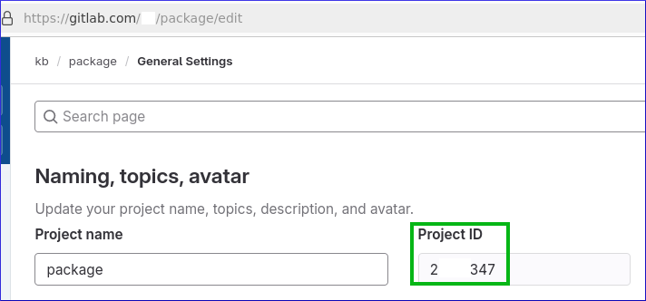 _images/2024-05-16-package-project-id.png
